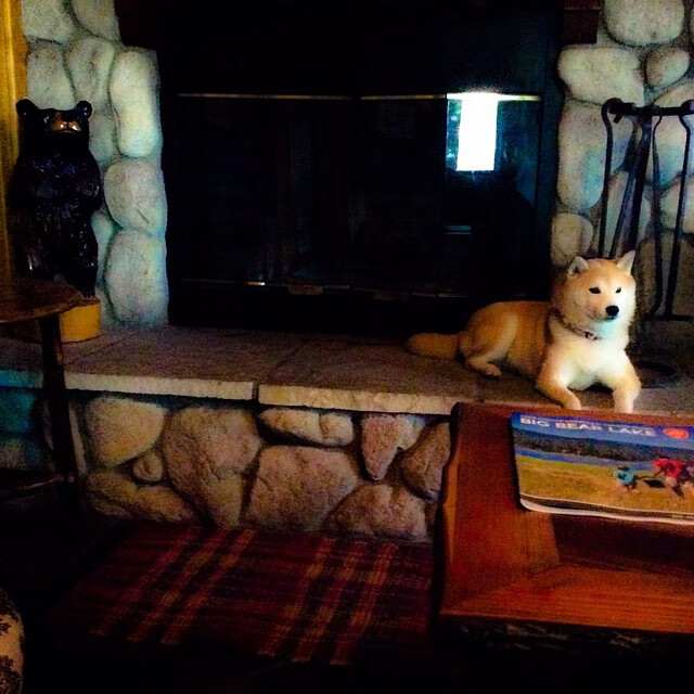 “帕布罗·马特拉:阿根廷美洲狮队的背后力量,未来更多突破”